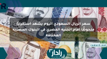 سعر الريال السعودي اليوم يشهد استقرارًا ملحوظًا أمام الجنيه المصري في البنوك المصرية المختلفة